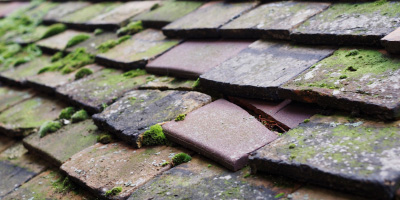 Beenham roof repair costs